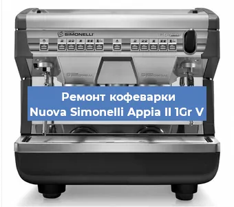 Ремонт кофемолки на кофемашине Nuova Simonelli Appia II 1Gr V в Красноярске
